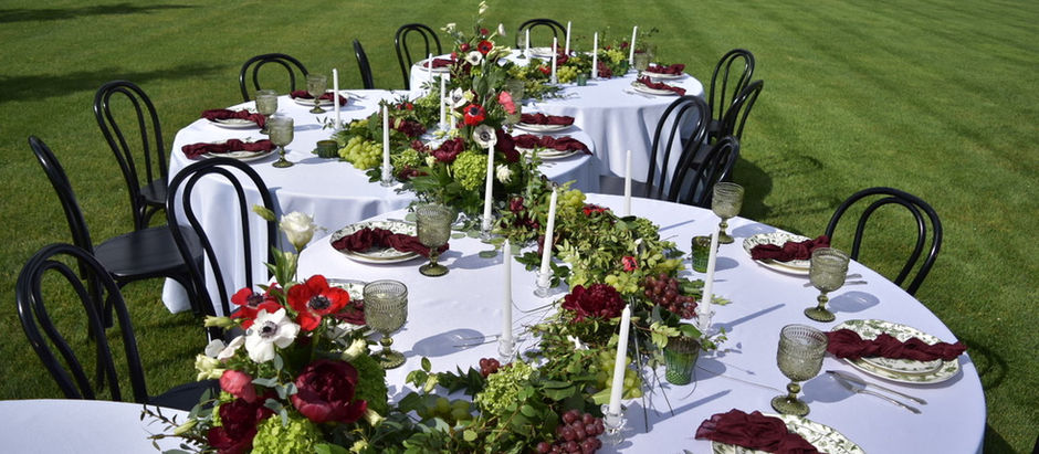 WINE THEMED DINNER PARTY 