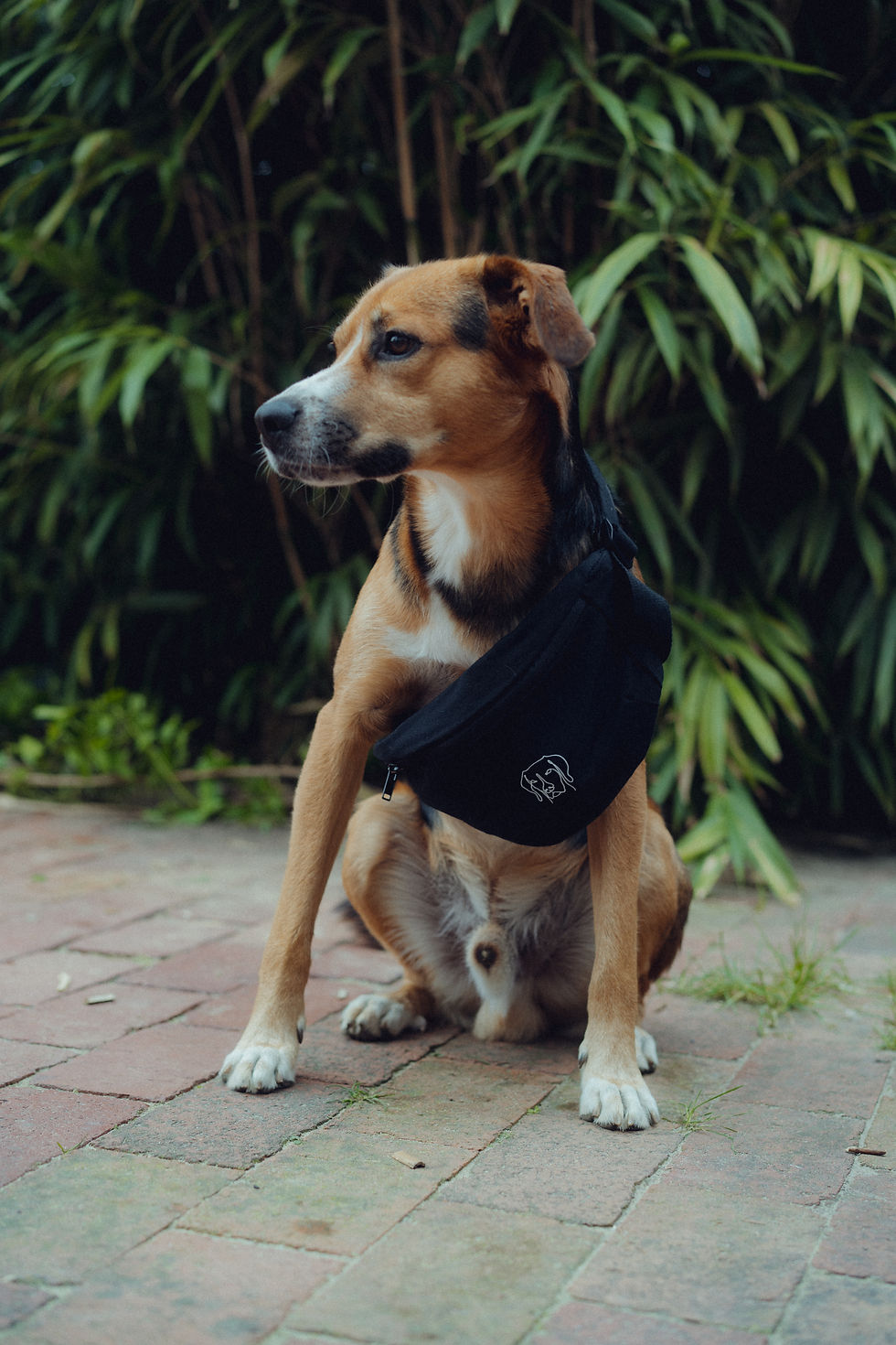 Miniaturbild: Hip Bag