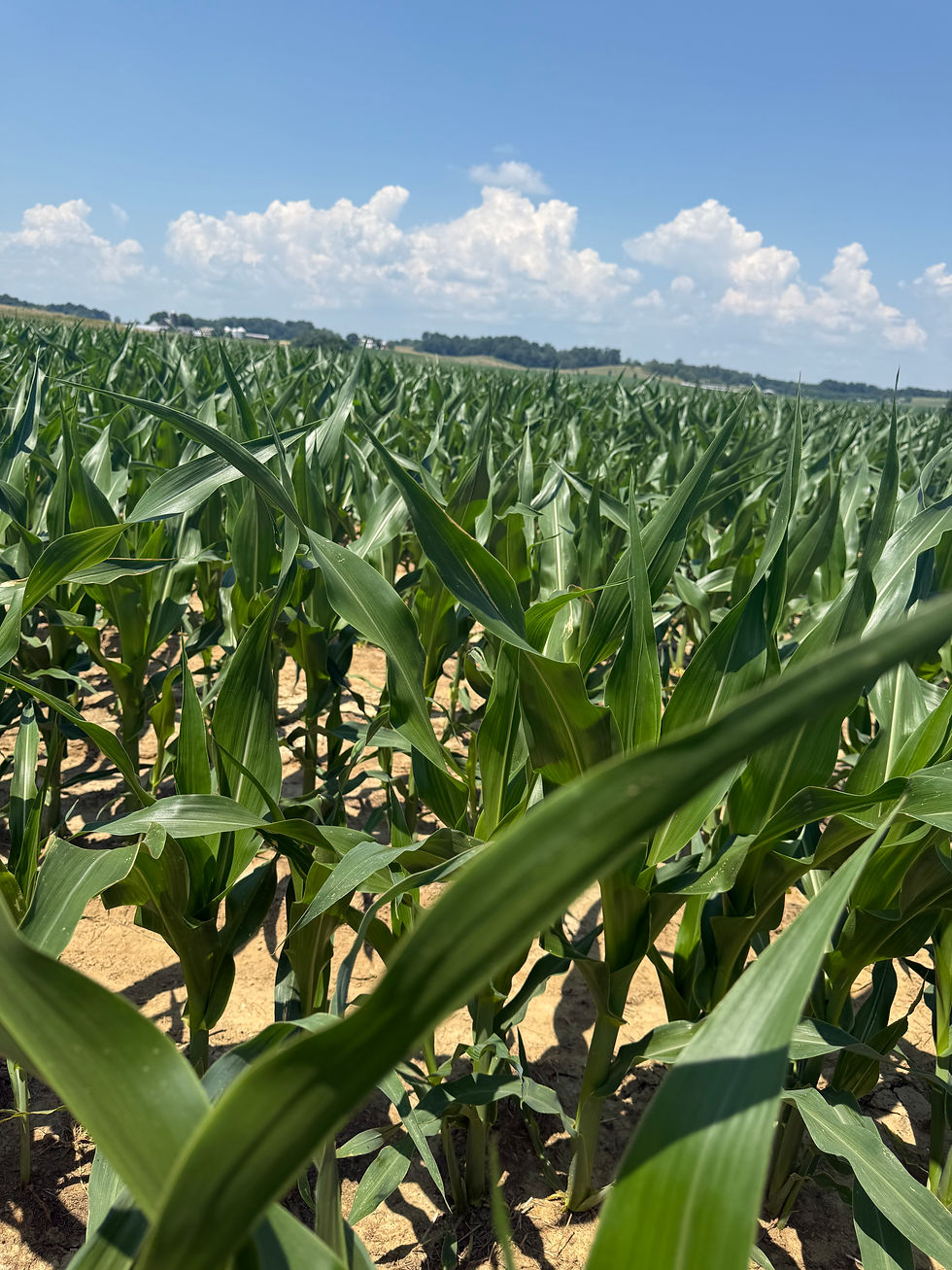 Continuing Education for Farmers