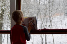Bird watching