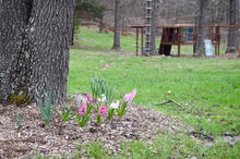 Spring has arrived
