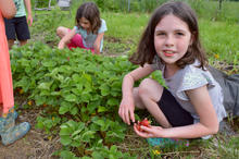 Harvest excitement