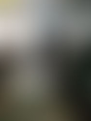 From Dismantling Computers to Experimenting With Fluids & Flow