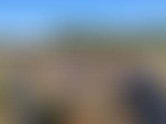 Potatoes & Carrots - Giving Back