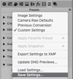 Adobe Camera Raw, Save Setting