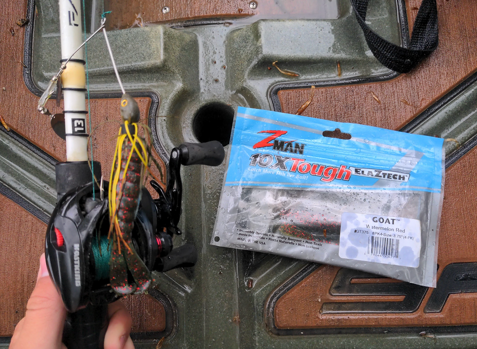 Bihary's spinnerbait setup.