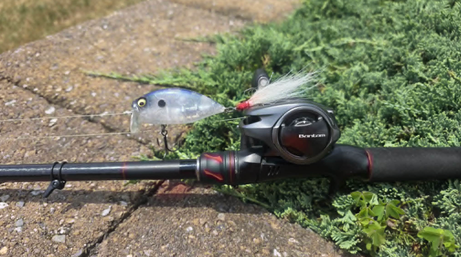 A closer look at Easterly's wakebait, the Megabass Over Rev Crank in Pro Blue. 