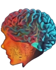 logo.png