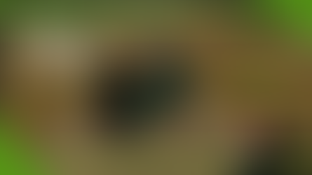 Farming Simulator 22 | The Start Of A Custom Off-Road Track - PT 1 - Video