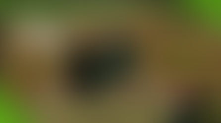 Farming Simulator 22 | The Start Of A Custom Off-Road Track - PT 1 - Video