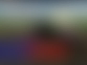 Cops & Robbers with a HARVESTER? In Farming Simulator 22 