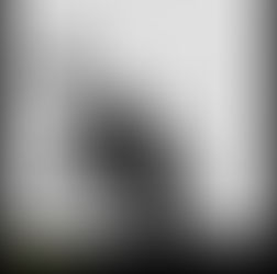 VECTOR GLIDE RIDING ACADEMY OPENING CAMP_2025