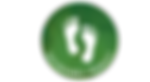sustainable footprint.png