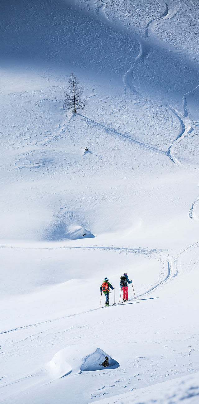 contour（コンツアー） | LINK | クライミングスキン