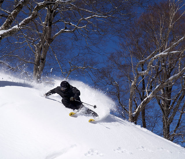 EVENT | VECTOR GLIDE（ヴェクターグライド） | SKI