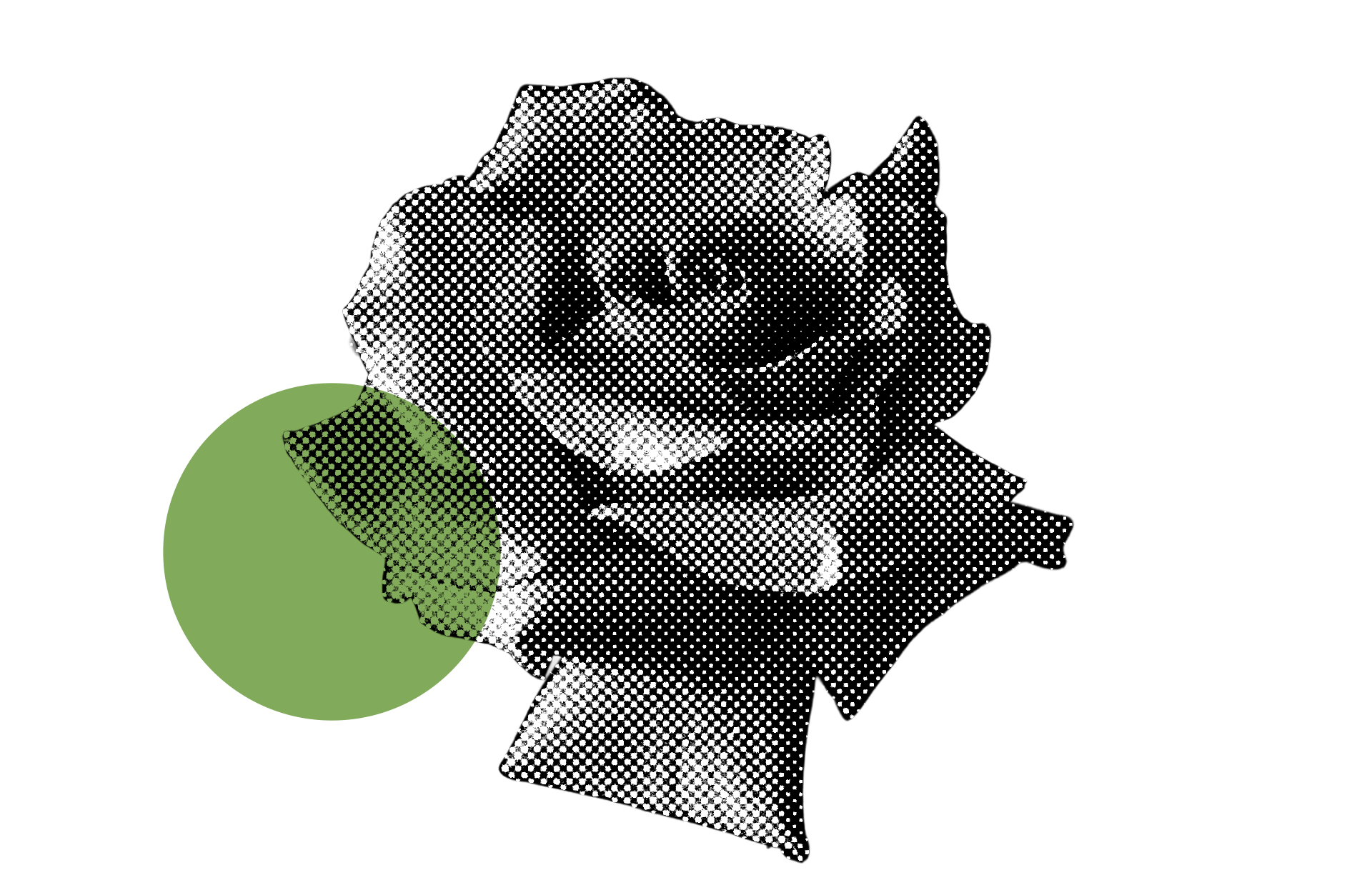 flower_2.png