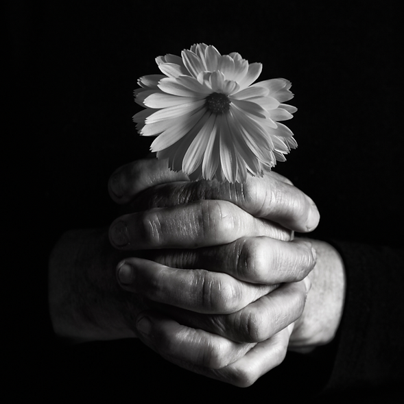 Grief flower.png