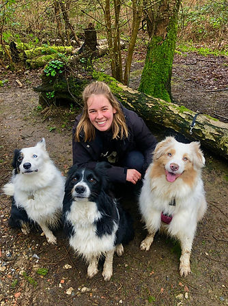 Zara, the owner of Tails are Wagging, with 3 of her dogs while on a dog walk in Stoneleigh