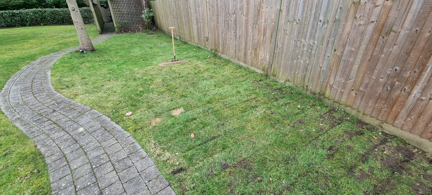 Bedding Design Project | One to One Garden Services | Gardener in Banstead