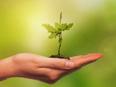 It’s your Personal Development Plan so own it