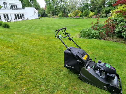 One to One Garden Services | Gardener in Banstead