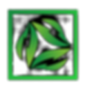 Innovision Group - 1_edited_edited.png