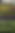 Planting.jpeg