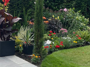 Soft Landscaping