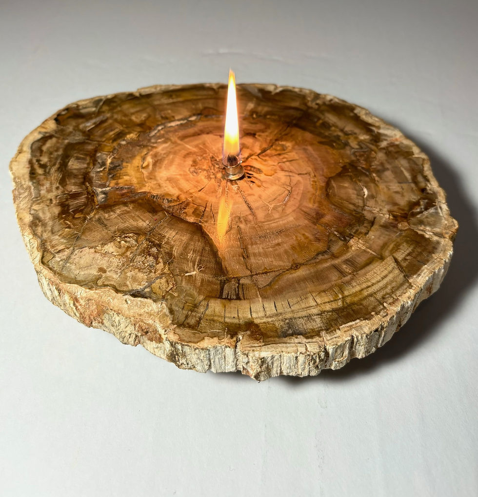 PETRIFIED WOOD Light of Mine Rock Candles