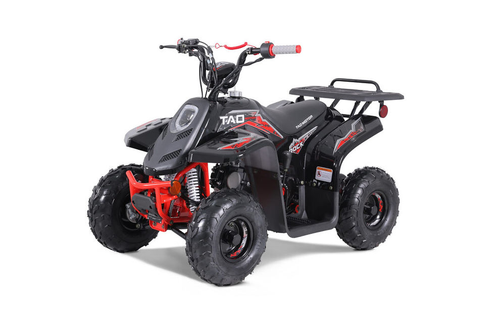 Miniature : ROCK 110 CC