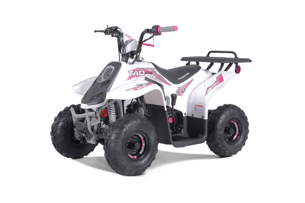 Miniature : ROCK 110 CC