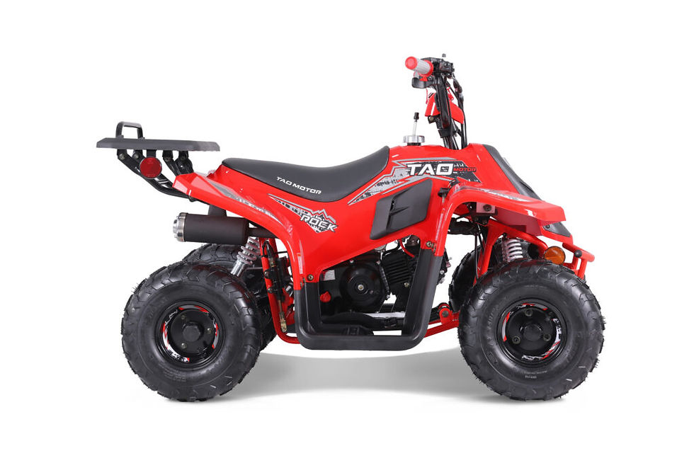 Miniature : ROCK 110 CC
