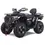 Miniature : Denago Freelander 300FI ATV