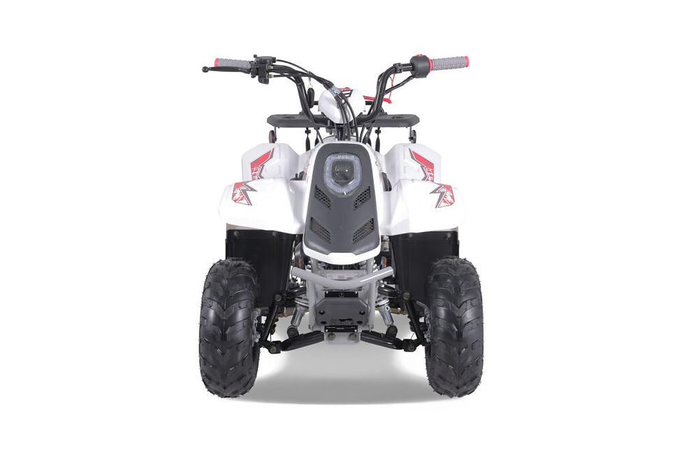 Miniature : ROCK 110 CC