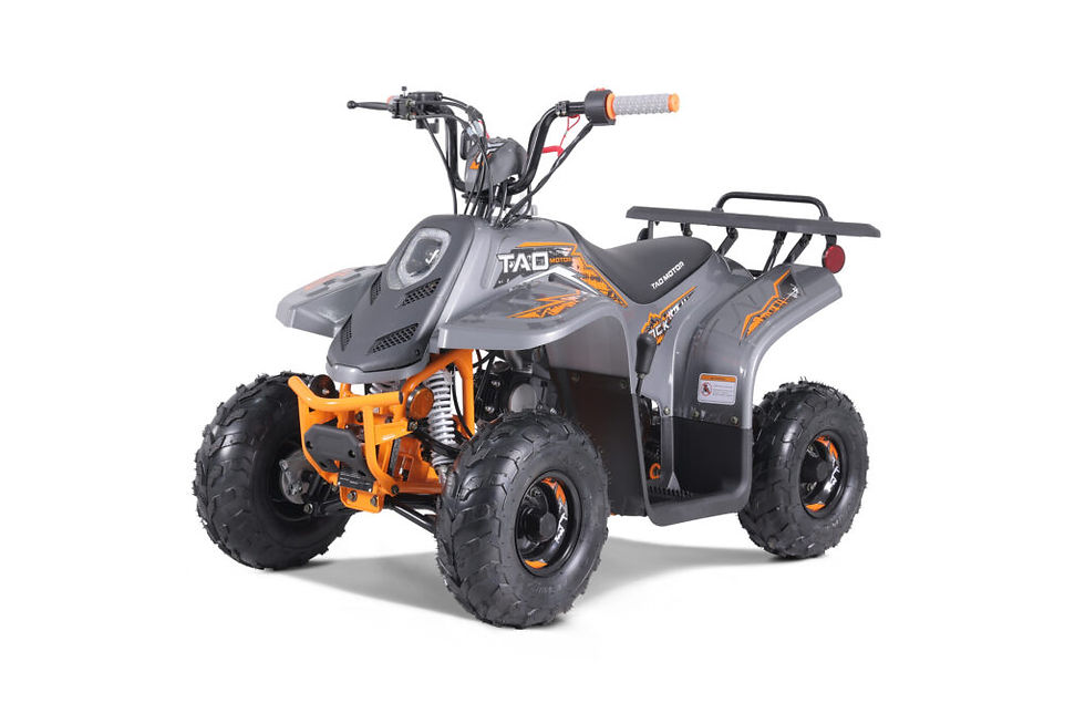Miniature : ROCK 110 CC