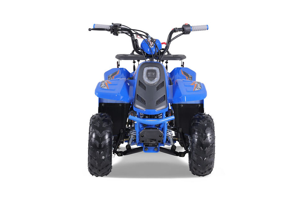 Miniature : ROCK 110 CC