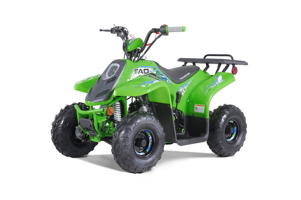 Miniature : ROCK 110 CC