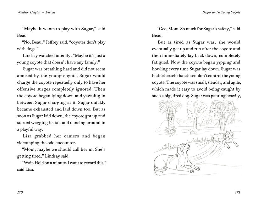 Sample page from Windsor Heights book 7 showing illustration of sugar with a coyote along with real open page from true story