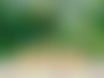 Felice Anno Nuovo !!!