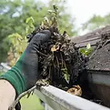 Gutter_Cleaning_Hand_Square_9a093a33-4017-4b01-921b-e6f66c50b28a.webp