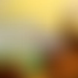 Keeper Review | Xbox Series X/S