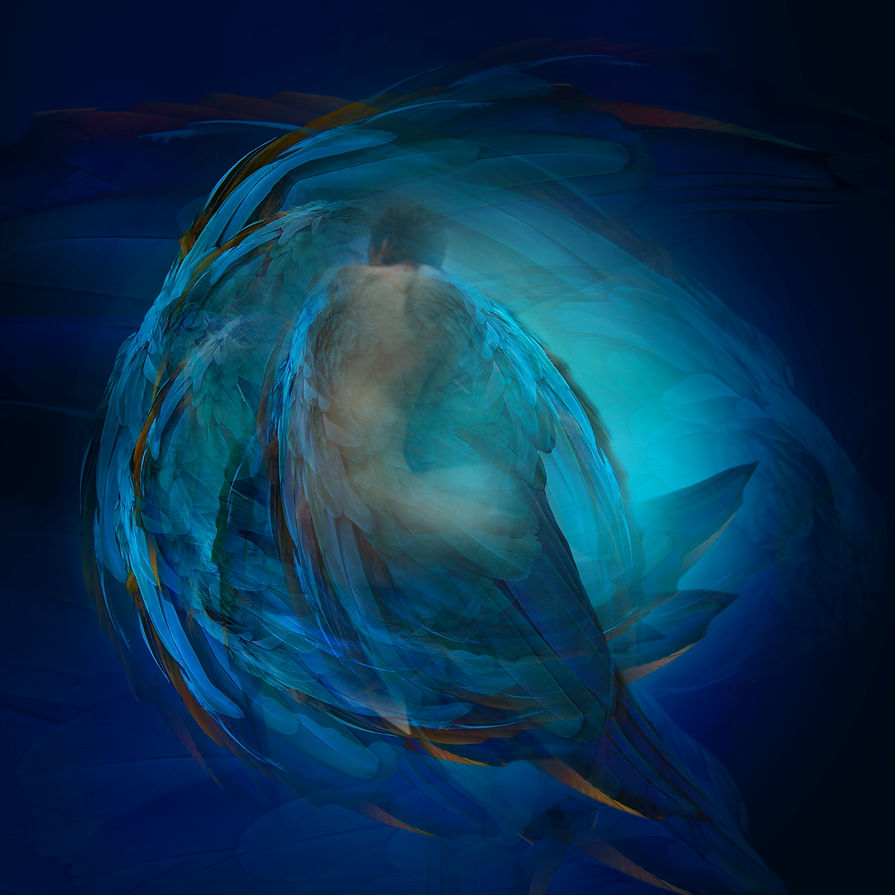 Fallen Angel Blue HI.jpg