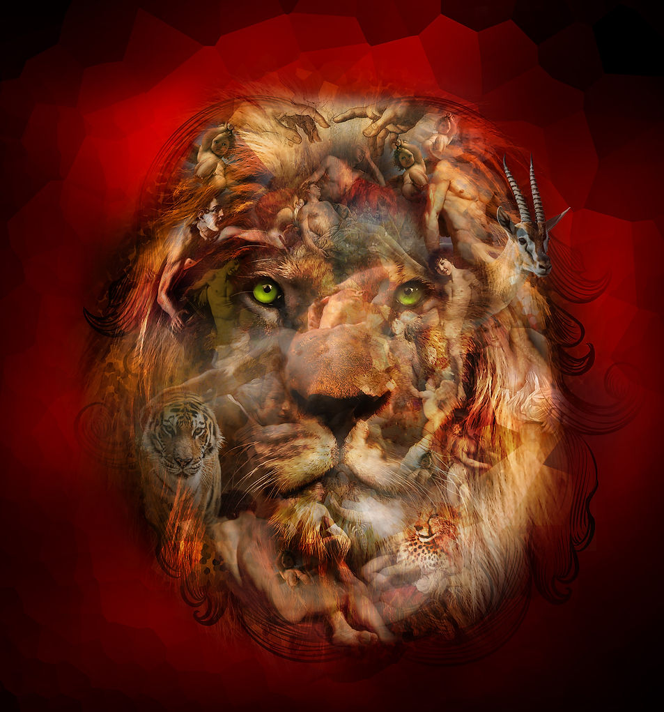 King Renassiance WEB.jpg