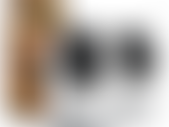 Indoor security camera great for keeping an eye on your pets