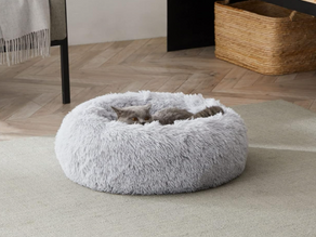 Best affordable Dog Beds in 2026