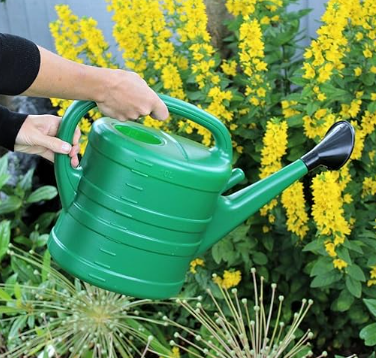 Hands hold a green watering can over yellow flowers. Lush garden setting, vibrant greenery, and a sense of nurturing and growth.
