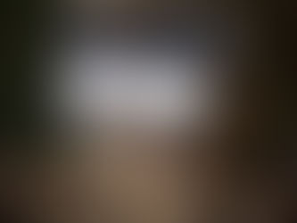 Garden Internet and sockets