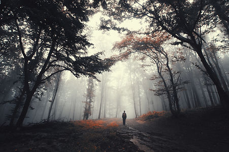 AdobeStock_110892030.jpeg