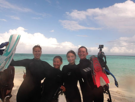 Class on the reefs and finding my future at UTS