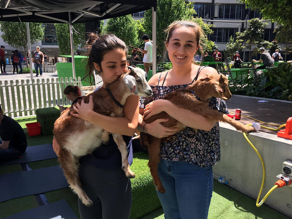 My friend Lara and I after goat yoga on campus!!